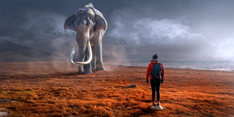 Surreal Space Time Dreams Landscape